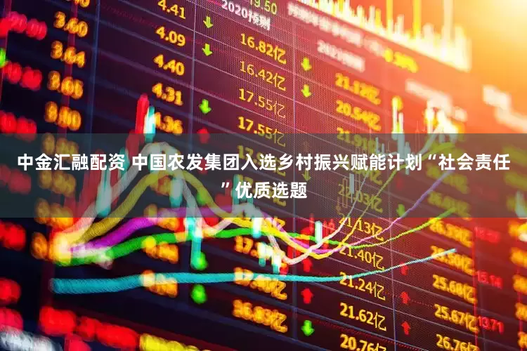 中金汇融配资 中国农发集团入选乡村振兴赋能计划“社会责任”优质选题