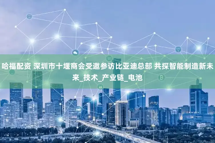 哈福配资 深圳市十堰商会受邀参访比亚迪总部 共探智能制造新未来_技术_产业链_电池